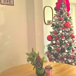 דירה Chez Mamy Cosy Avec Jardin